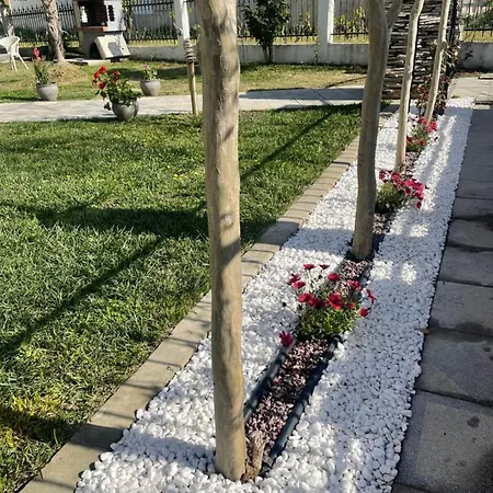 Palataki * Nikíti