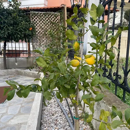 Palataki Nikiti (Sithonia)