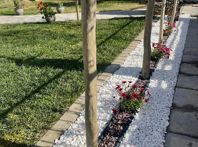 Palataki * Nikiti (Sithonia)