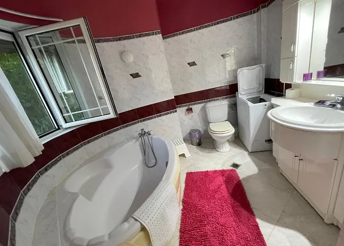 Palataki * Nikiti (Sithonia)